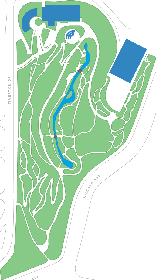 Aechmea Sphaerocephala Bromeliad Garden Bromeliad - Mildred Mathias Botanical Garden Map (514x924), Png Download