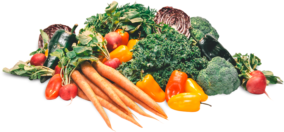 Photo By Jav Ducker - Broccoli (1000x560), Png Download