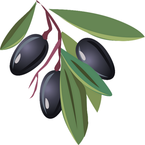 Olive Dessin Couleur (600x600), Png Download