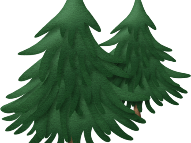 Fir Tree Clipart Cypress - Sapin Clipart (640x480), Png Download
