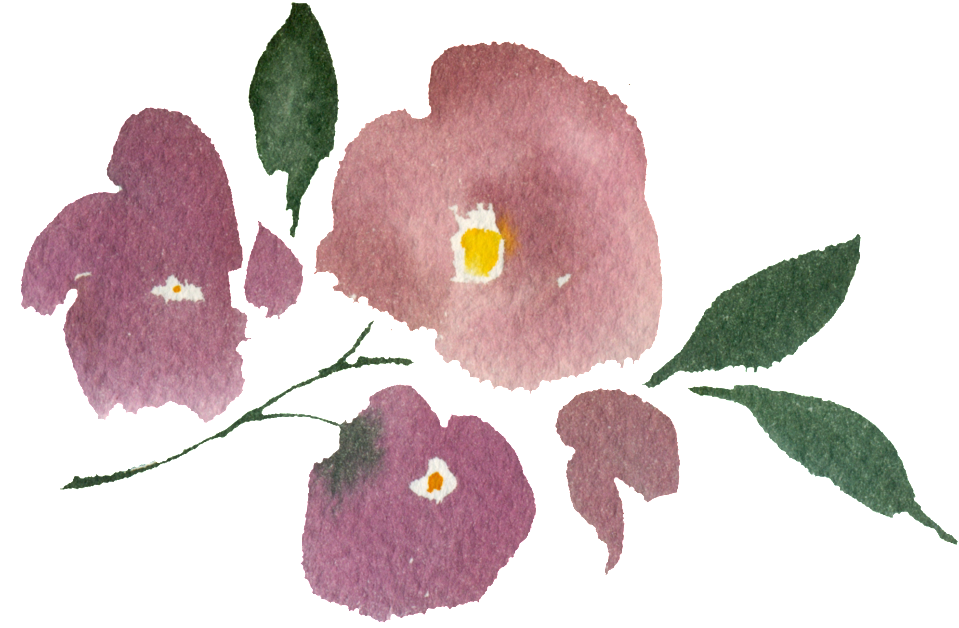Hand Painted Three Watercolor Flowers Png Transparent - Rose (1024x739), Png Download