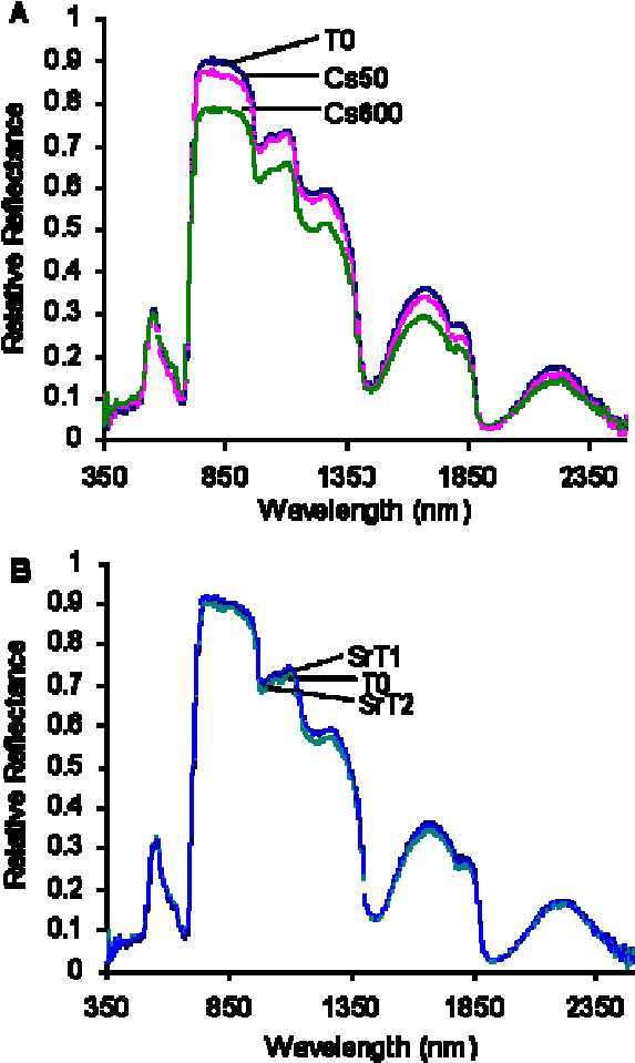 Download - Diagram (634x1013), Png Download