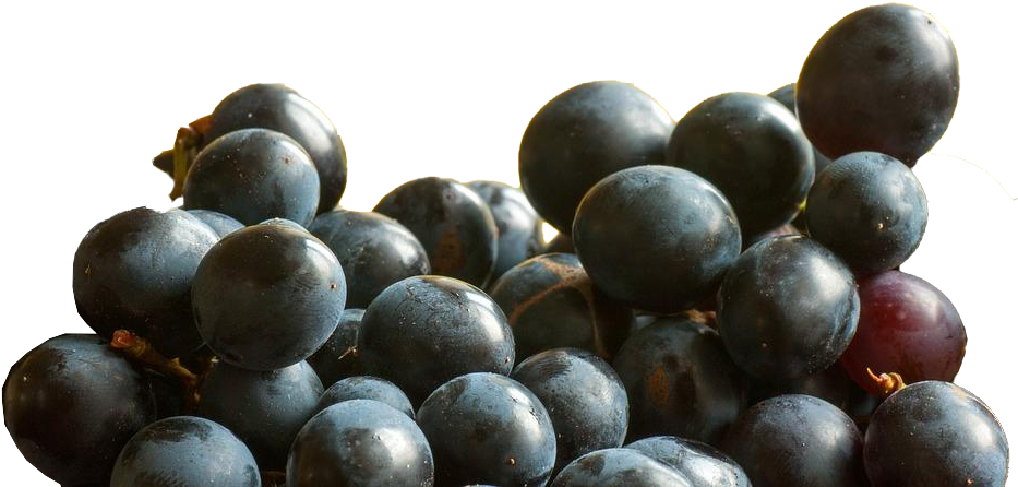 Seedless Fruit (960x642), Png Download