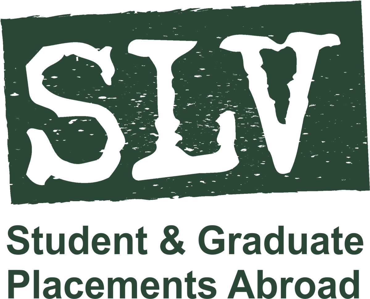 Slv - Global - Poster (1280x1280), Png Download