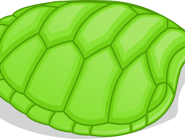 Sand Clipart Shell Png - Turtle Shell Clipart (640x480), Png Download
