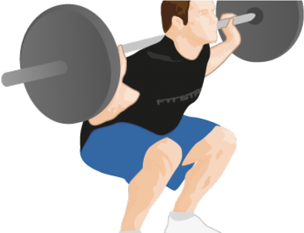 Weight Plates Clipart Squat - Topo De Bolo Academia Png (640x480), Png Download