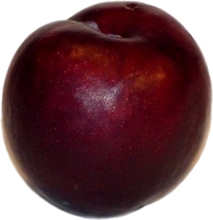 Plum Transparent Background - Plum Clip Art (1024x768), Png Download
