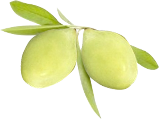 Kakadu Plum Png (612x612), Png Download