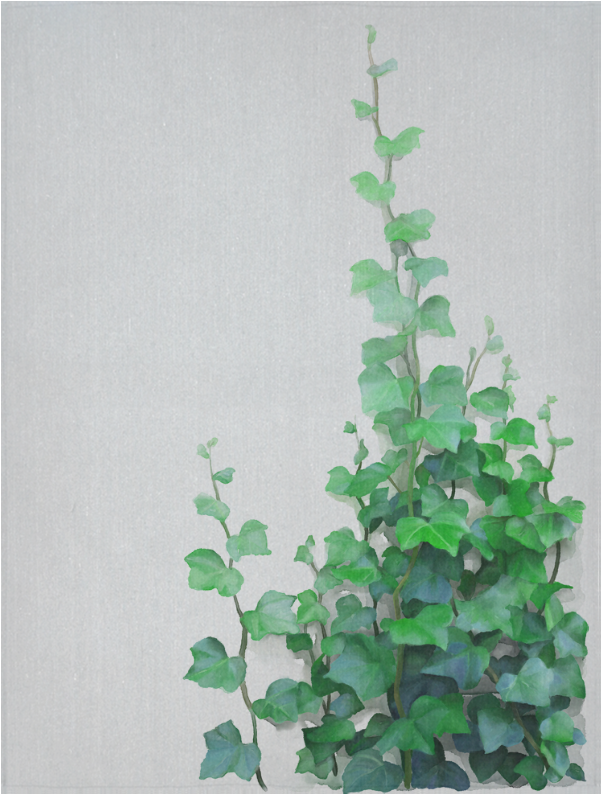 Creeper Plant Painting (1000x1000), Png Download