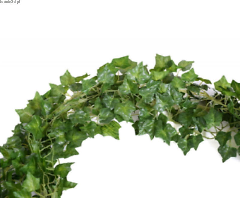 Oferta Specjalna 12 Big Value Artificial Hanging Plant - Wall (800x785), Png Download