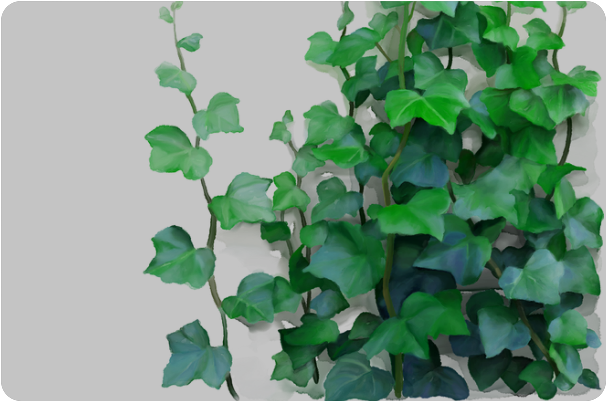 Creeper Plant Painting (800x800), Png Download