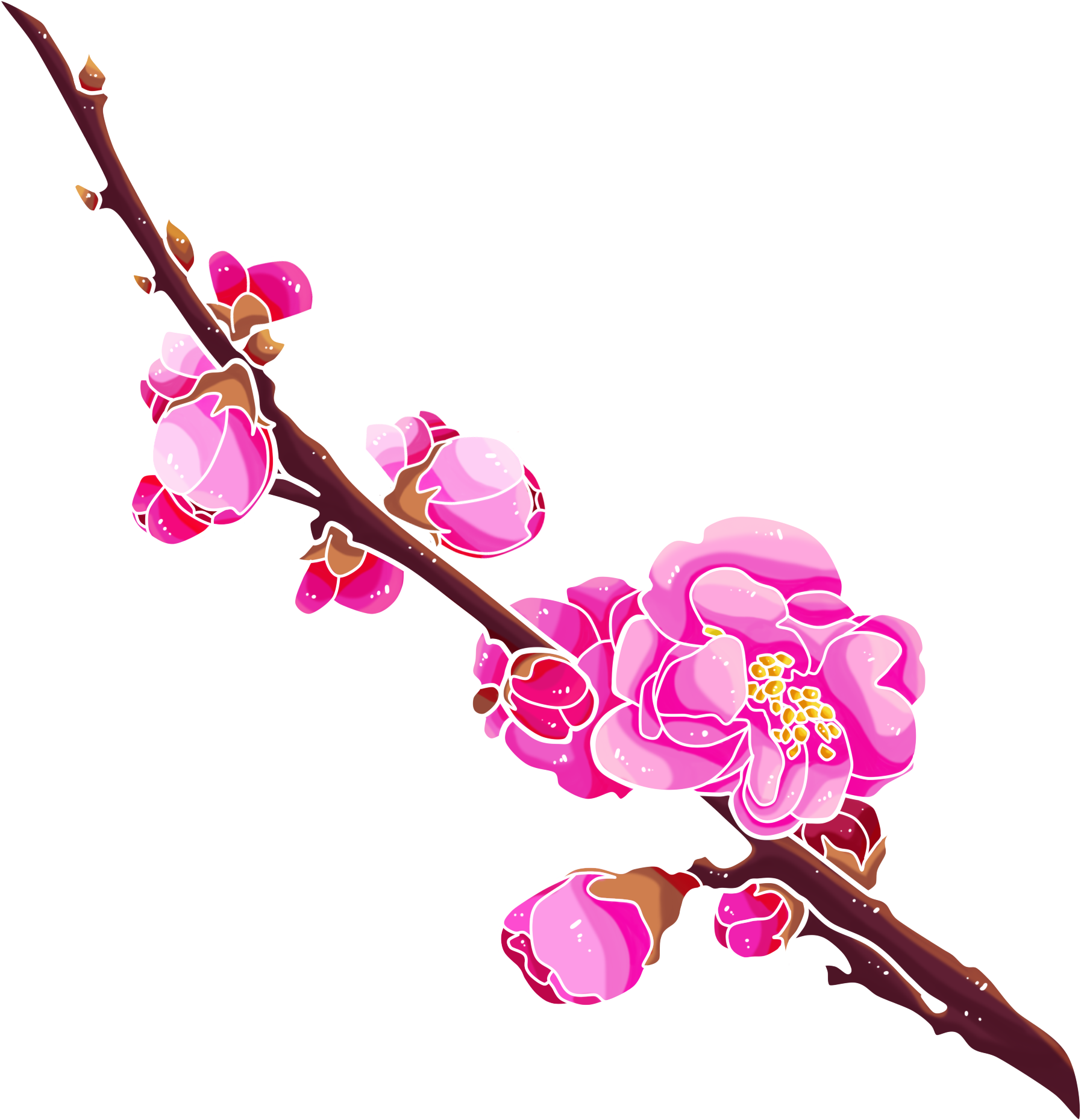 Winter Plum Hand Drawn Fine Png And Psd - Illustration (2000x2000), Png Download