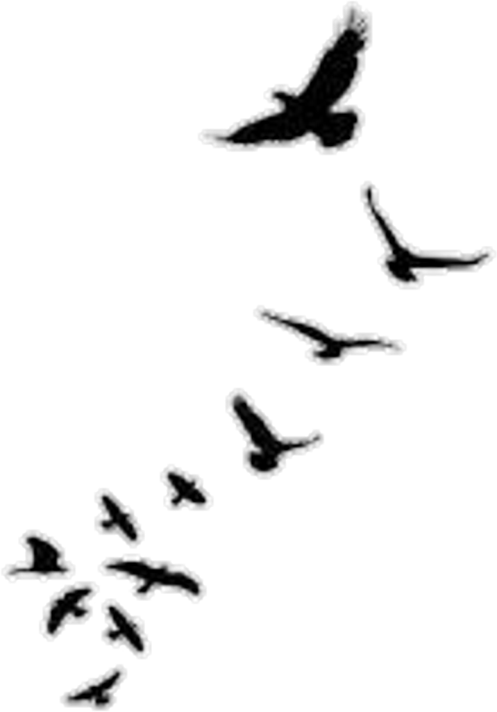 Stiker Sticker - Bird Silhouette In Flight (1024x1218), Png Download