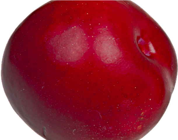 Seedless Fruit (640x480), Png Download