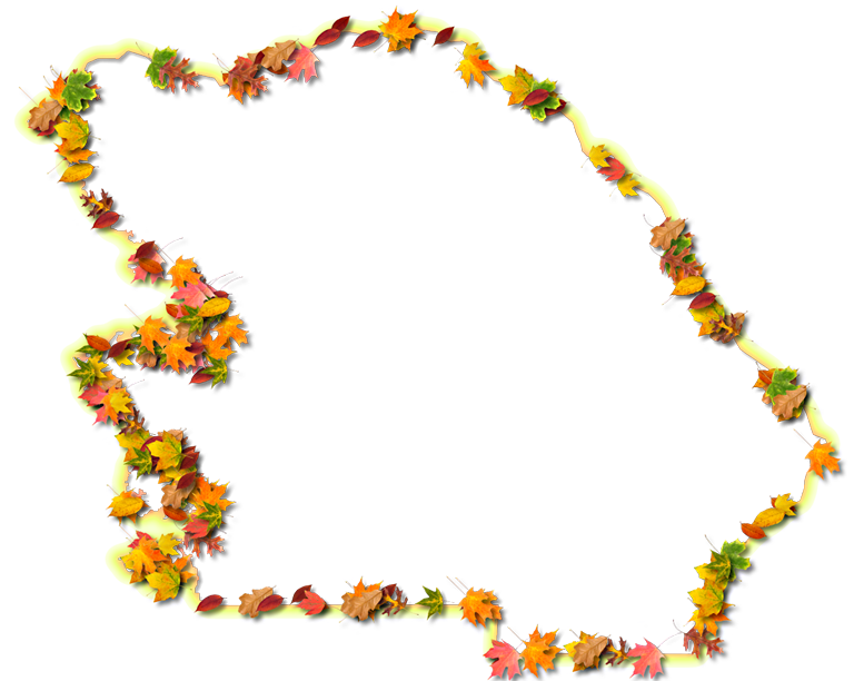 A Yellow And Orange Outline Map Of Citrus With Fall - Floral Design (768x612), Png Download