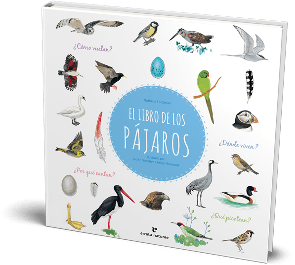 Vuela Al País De Las Aves - Ptáci Tordjman Natalie (900x768), Png Download