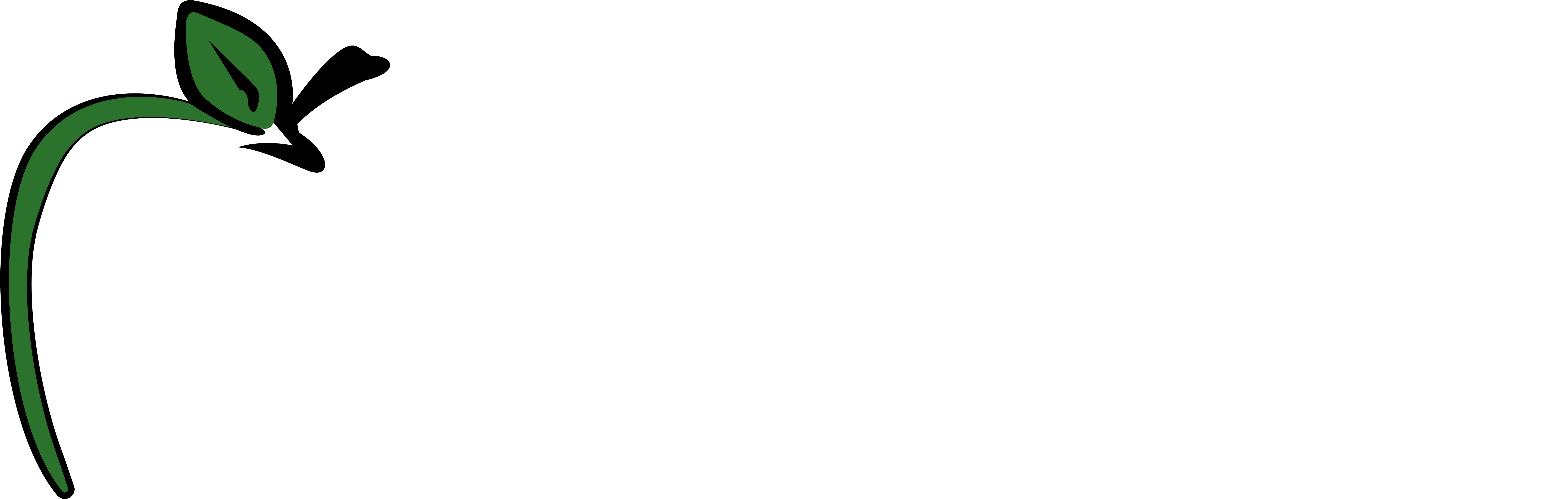 Green Apple Auto Works (8751x2685), Png Download