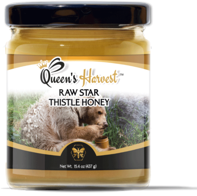 Related Products - Skunk (800x800), Png Download