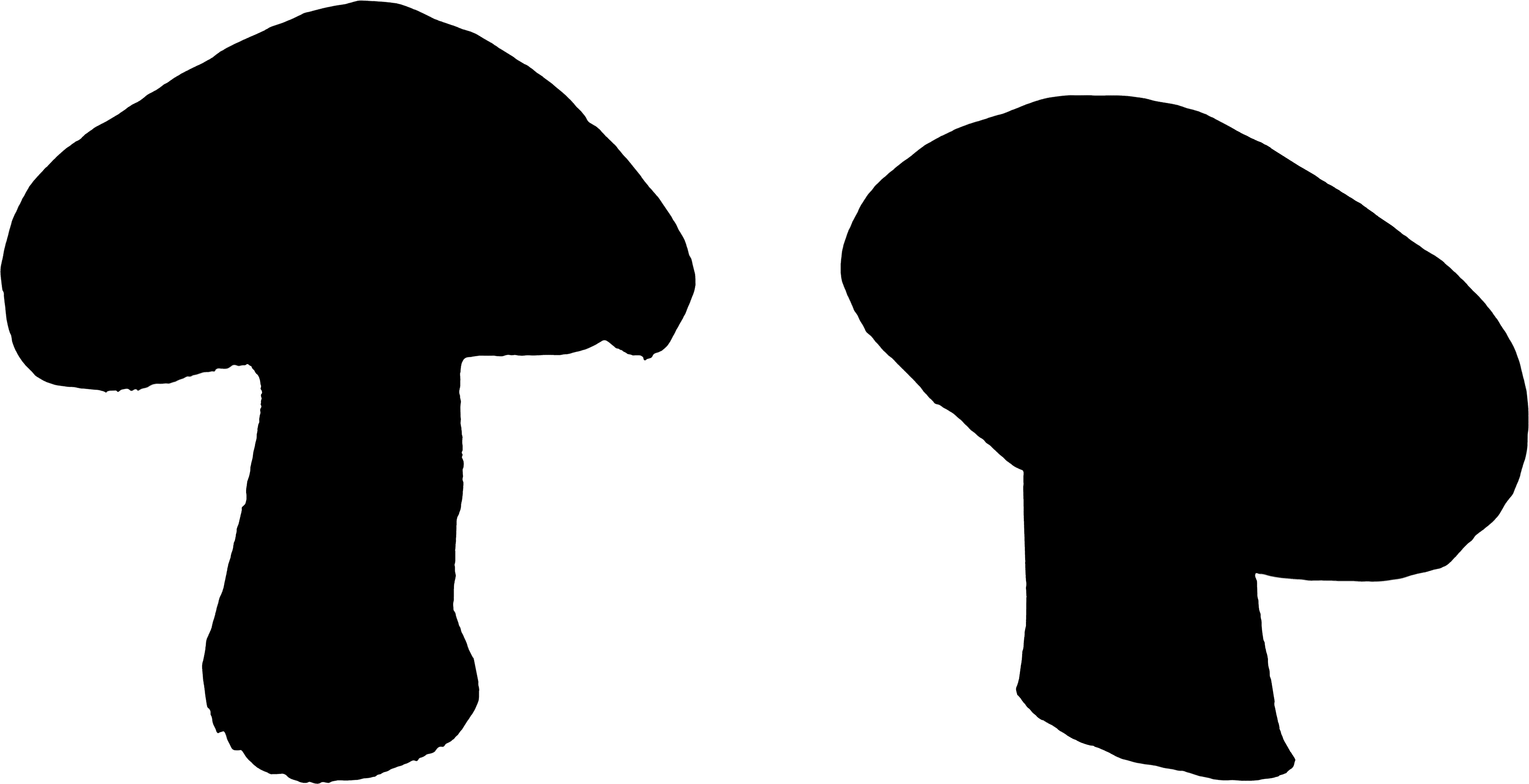 Mushroom Silhouette - Agaricaceae (3584x1839), Png Download