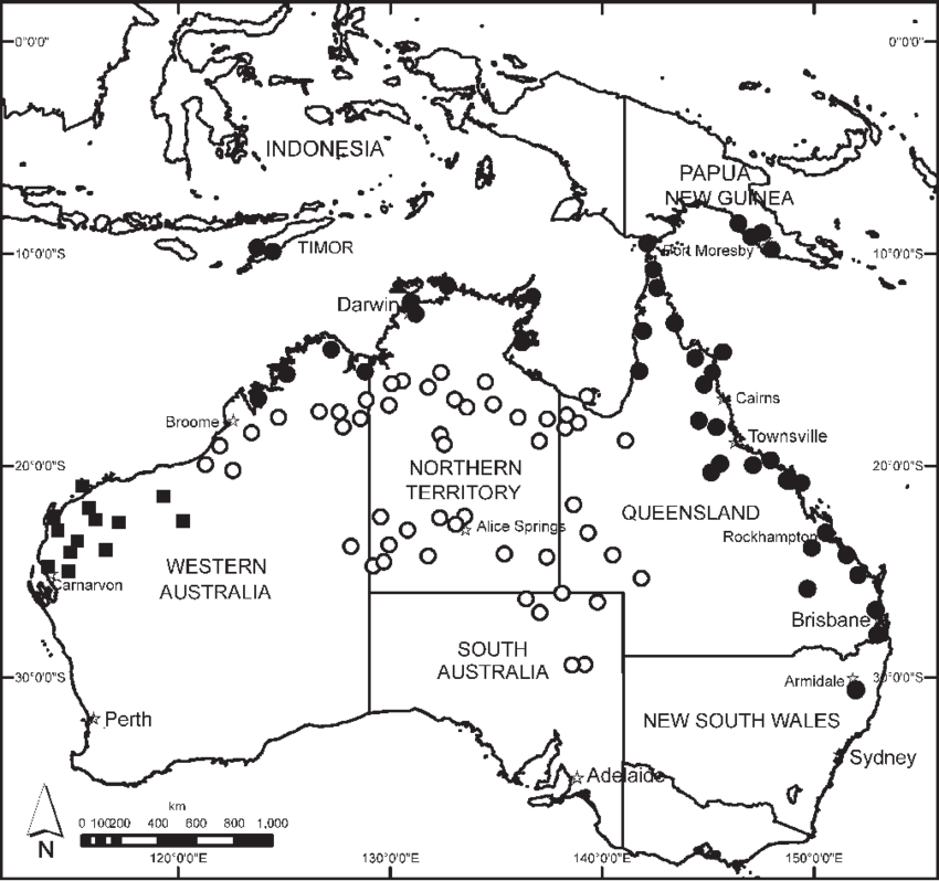 Distributions Of Cucumis Althaeoides - Indonesia (850x798), Png Download