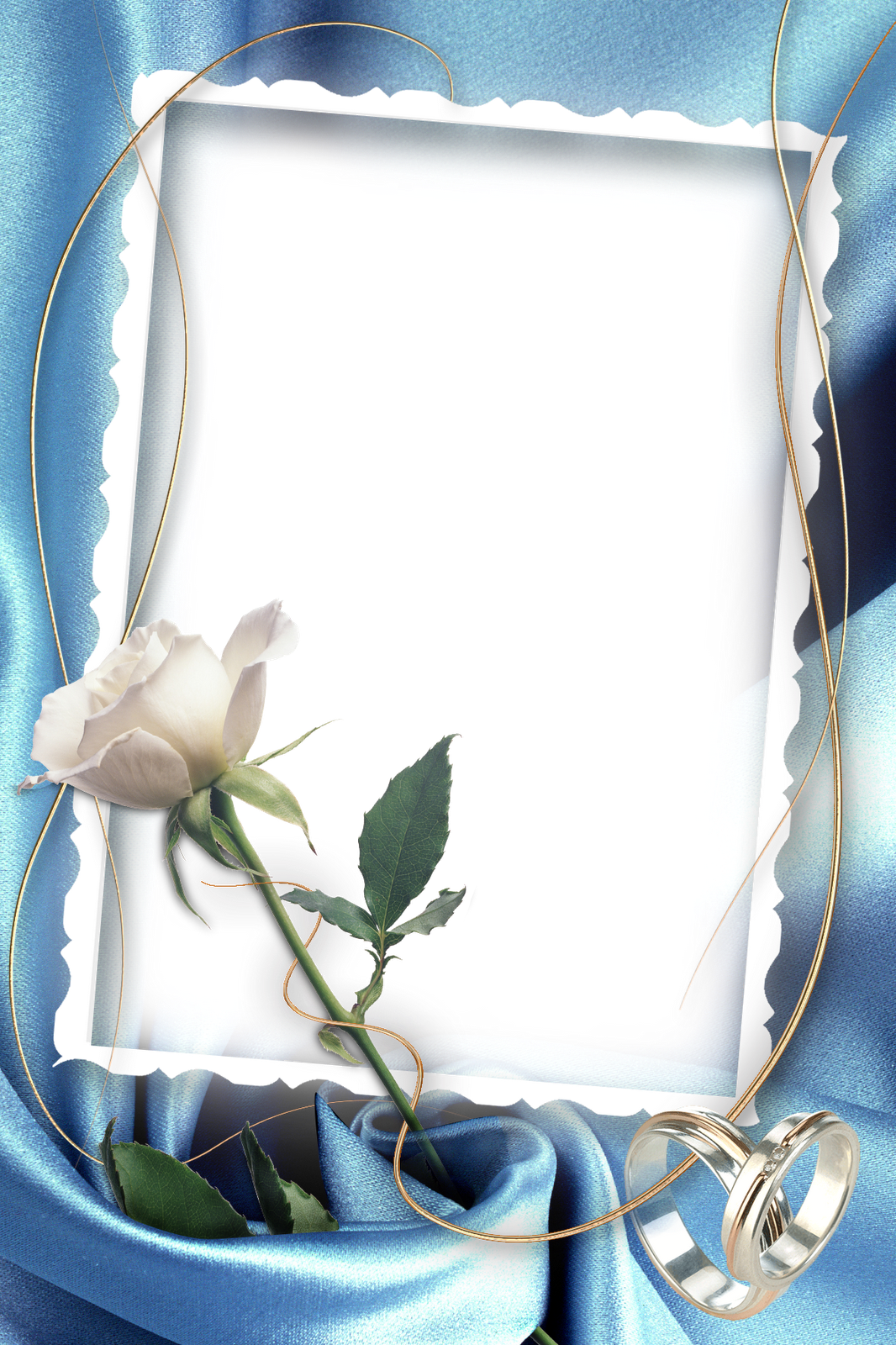 Marcos Para Fotos De Boda, Rosas Blancas, Alianza De - Rose (1066x1600), Png Download