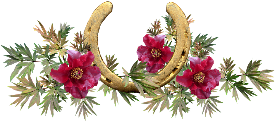 Horse Shoe, Lucky, Peony, Flowers - Herradura Con Flores Png (960x430), Png Download