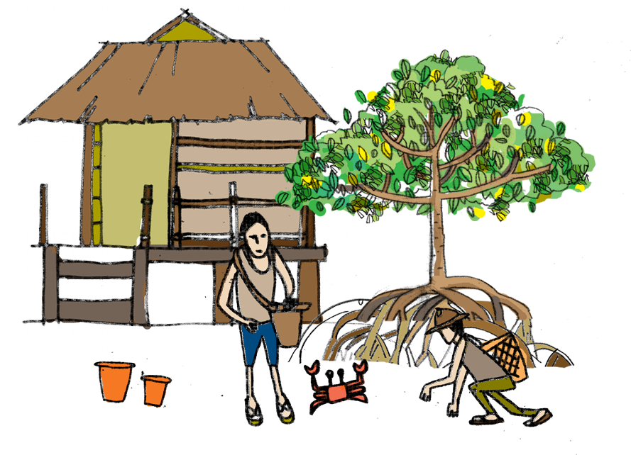 Watch This Video To See The Huge Benefits Mangrove - Illustration (889x642), Png Download