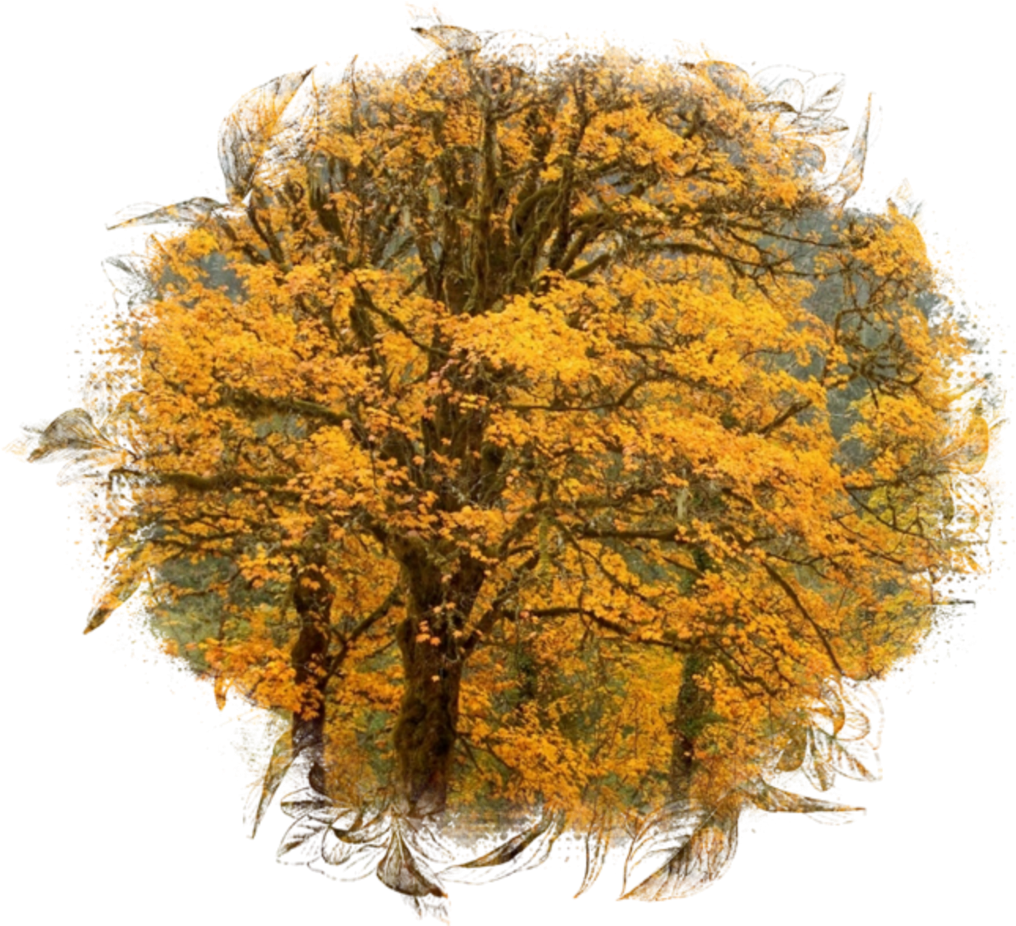 Ftestickers Sticker - Fall Backgrounds Nj (1024x925), Png Download