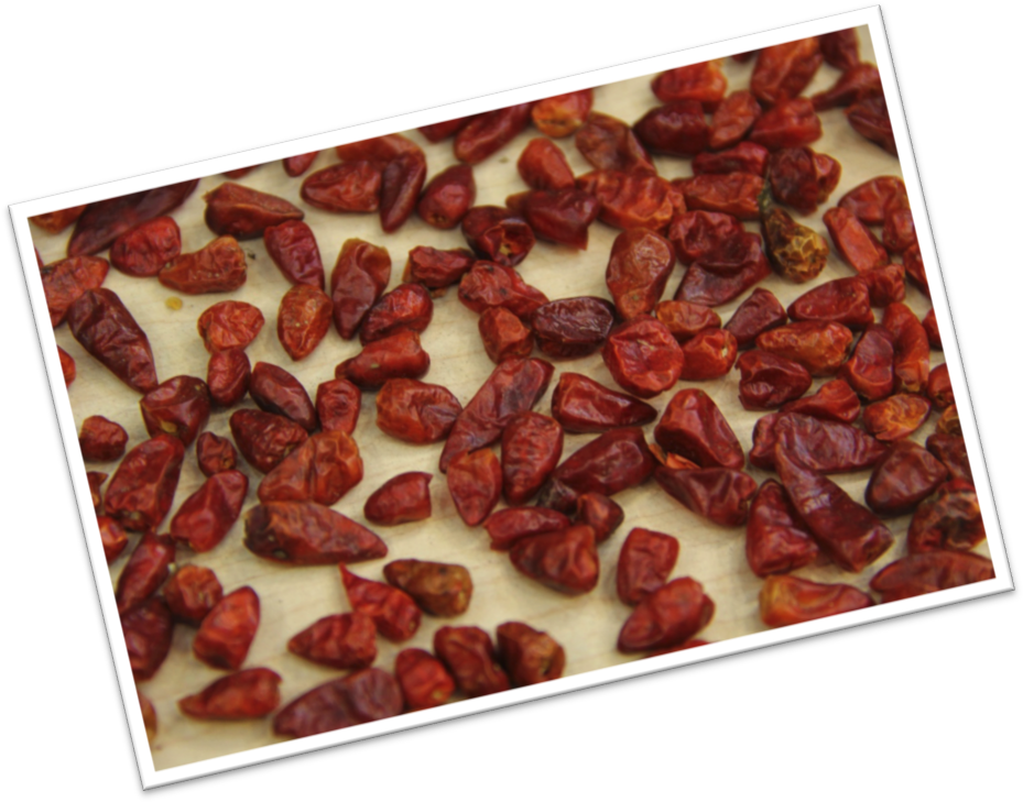 Raisin (937x737), Png Download