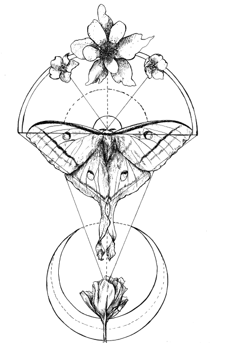 Download Butterfly Tattoo Moth Geometry Luna Retro Drawing Clipart Geometric Luna Moth Png Image With No Background Pngkey Com