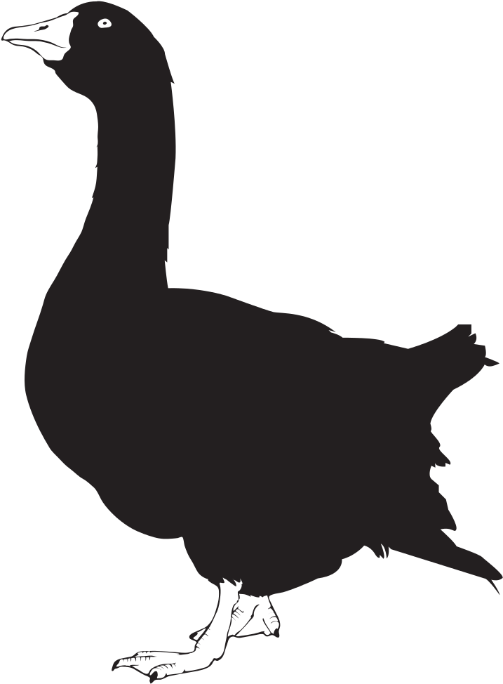 Goose Silhouette - Goose Silhouette Png (804x1023), Png Download