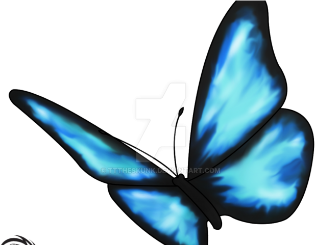 Life Is Strange Clipart Blue Butterfly Tattoo - Life Is Strange Butterfly Png (640x480), Png Download