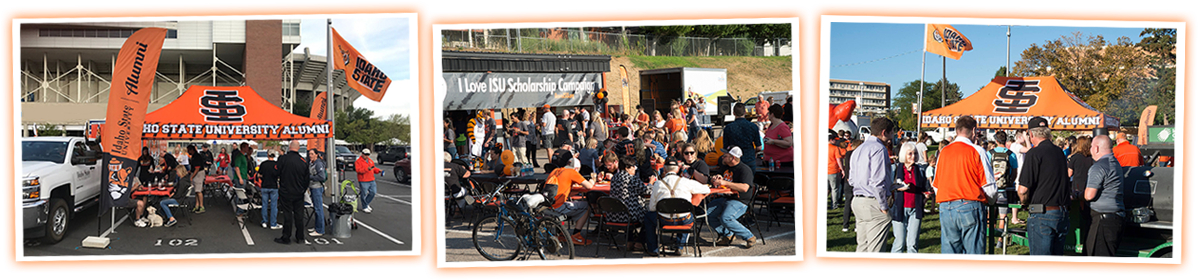 Gnash Your Teeth And Bare Your Claws As The Bengals - Hybrid Bicycle (1200x300), Png Download