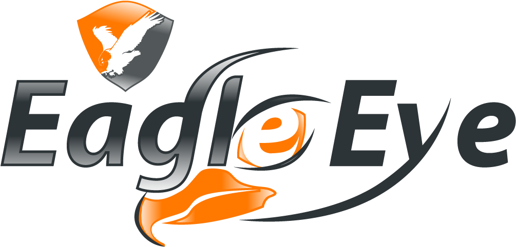Eagle Eyes Logo - Eagle Eye (1069x563), Png Download