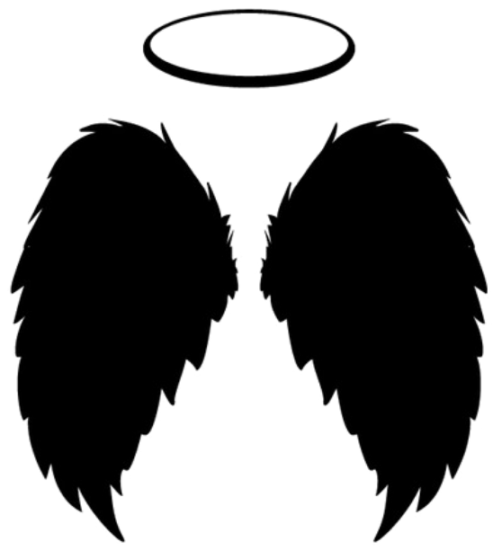 Black Angel Wings Png (1024x1024), Png Download