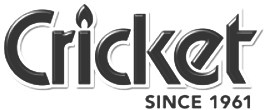 Cricket Logo Since1961 - Graphic Design (954x446), Png Download