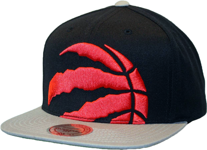 Toronto Raptors Xl Alternate Logo Snapback Hat - Baseball Cap (726x828), Png Download