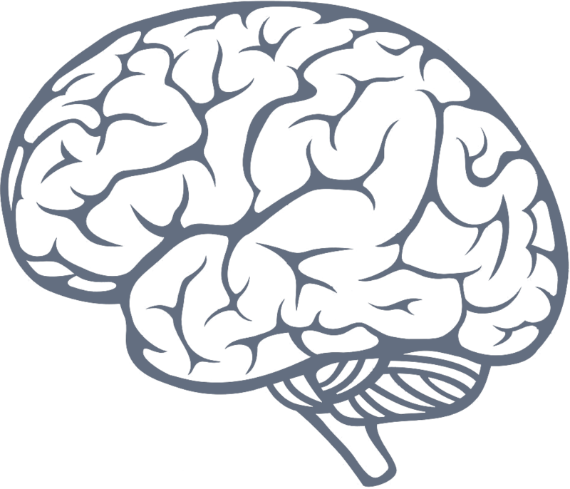Download Brain Icon Png Image - Brain Png PNG Image with No Background -  