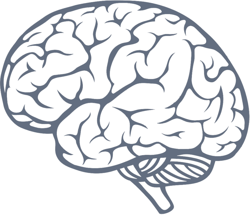 Download Brain Icon Png Image - Brain Png PNG Image with No Background - Download Brain Icon Png Image - Brain Png PNG Image with No Background -