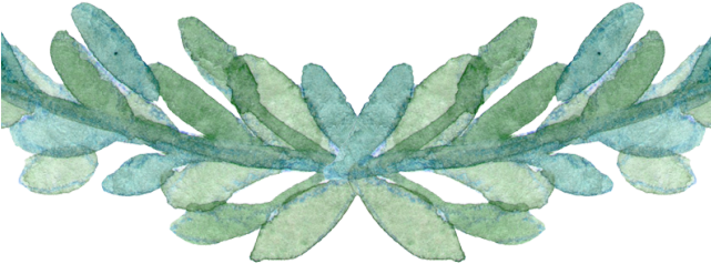 Drawn Leaves Leaf Border Png - Watercolor Leaf Border Png (640x480), Png Download