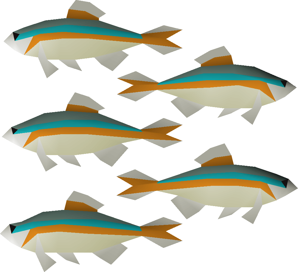 School Of Minnows Png (1000x912), Png Download
