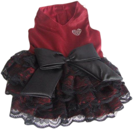 Sexy Senorita Red And Black Lace Dress - Velvet (640x480), Png Download