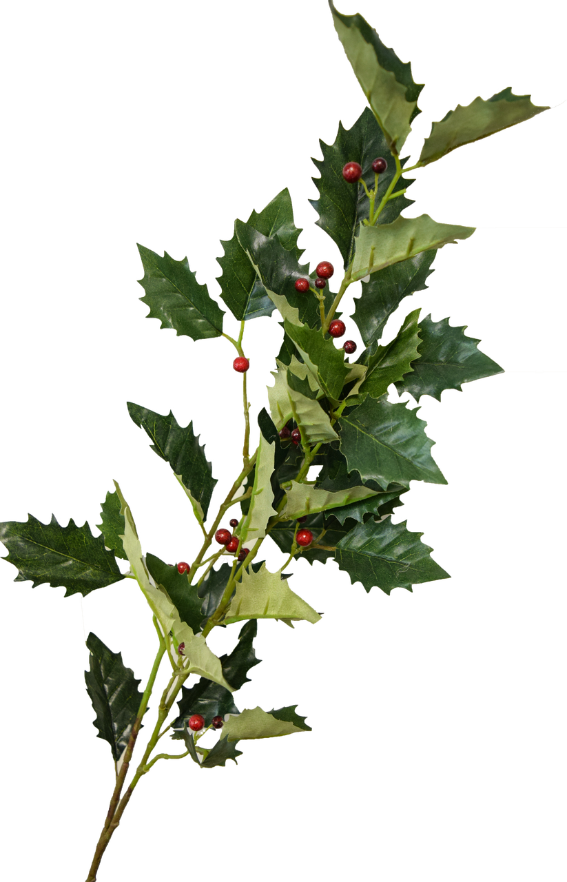 Larger / More Photos - Currant (823x1280), Png Download