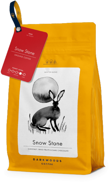 Japanese Rhinoceros Beetle (600x600), Png Download