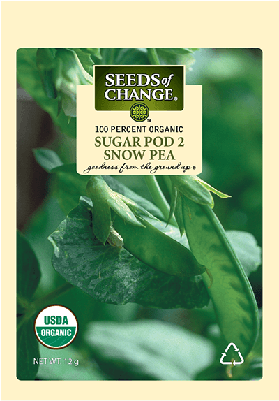 Organic Sugar Pod 2 Snow Pea Seeds - Usda Organic (573x573), Png Download