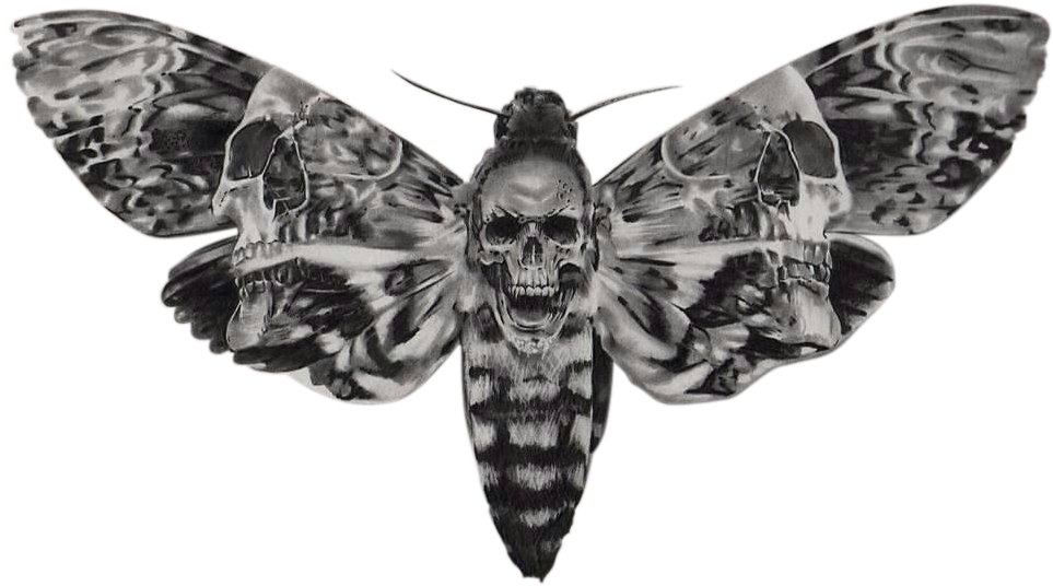 Atroposknife - Sphinx A Tete De Mort (1080x786), Png Download