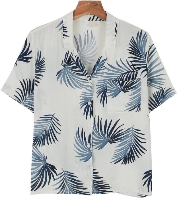 Blouse (668x753), Png Download