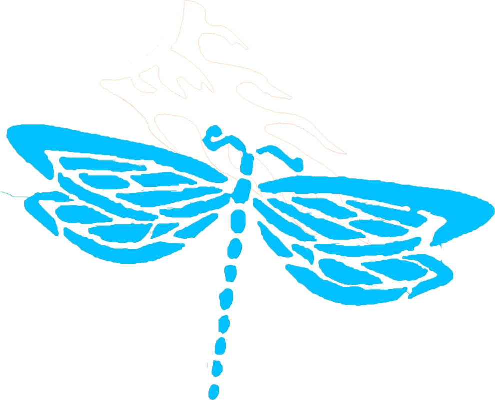 Dragonfly-20 (1000x998), Png Download