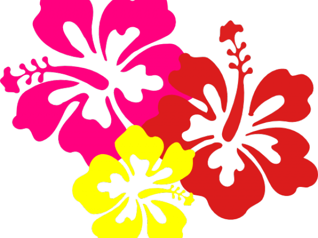 Flowers Of Hawaii Png (640x480), Png Download
