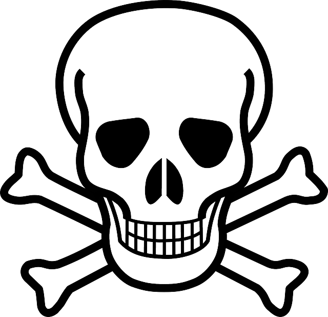 Skull And Crossbones, Skull, Crossbones, Danger, Death - Skull And Crossbones (640x617), Png Download